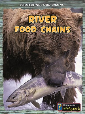 cover image of River Food Chains